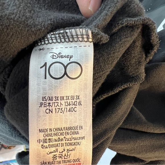 🧚Disneyland Grey Hoodie 3X - Picture 2 of 8